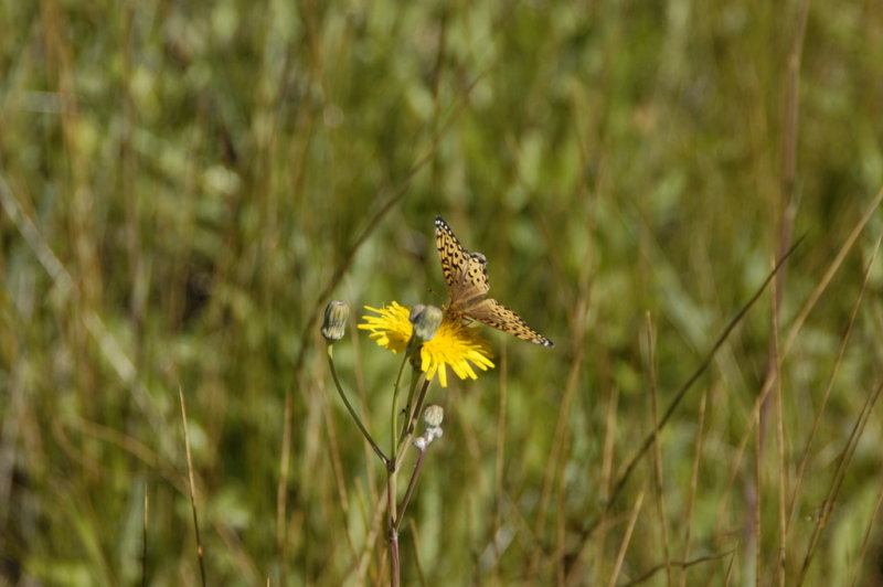 2006_0804_113714.JPG