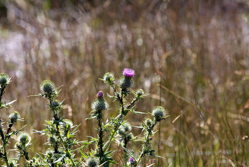 2006_0805_113952.JPG