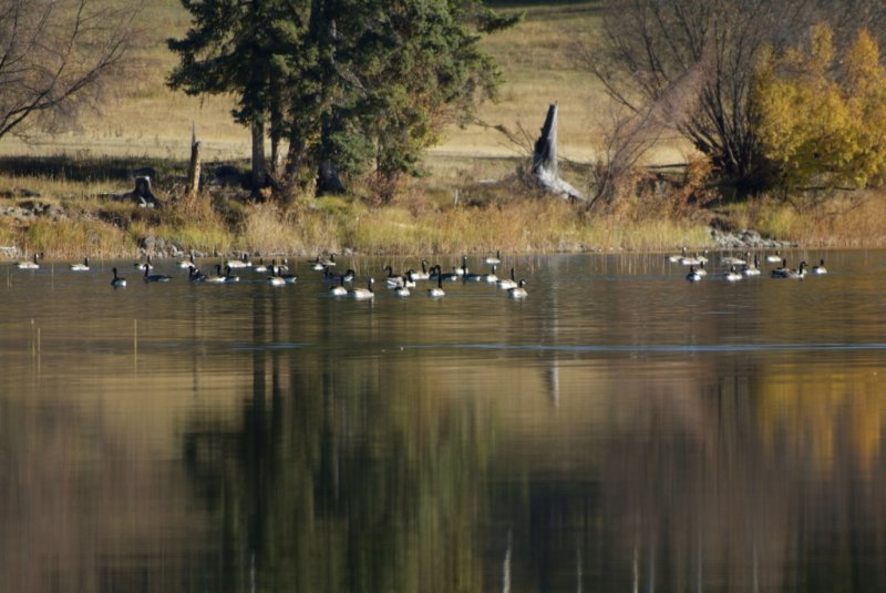 2006_1011_100122-1.JPG