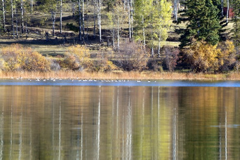 2006_1011_100515-1.JPG