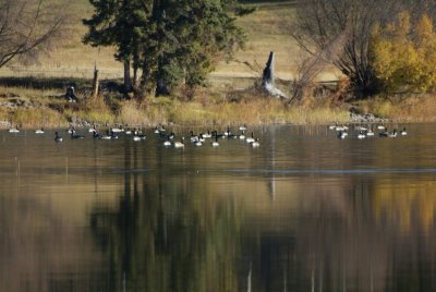 2006_1011_100122-1.JPG