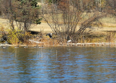 2006_1011_141842-1.JPG