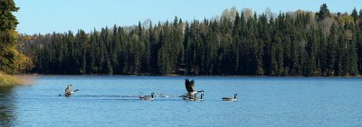 2006_1011_141936-1.JPG