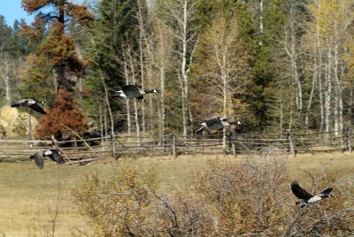 2006_1011_142149-1.JPG