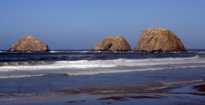 oregon coast8.jpg
