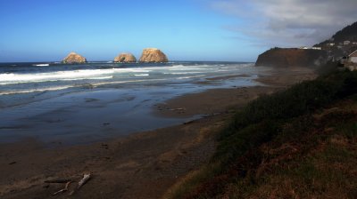 oregon coast10.jpg