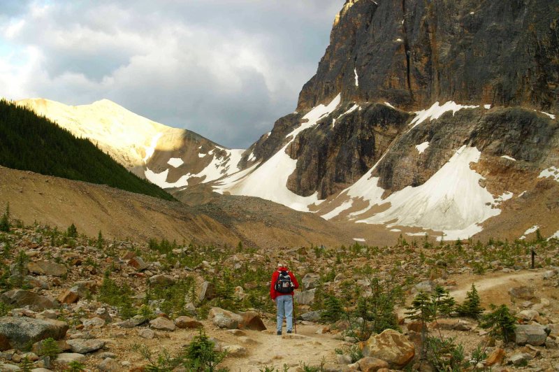 The path to Mt. Edith Cavell