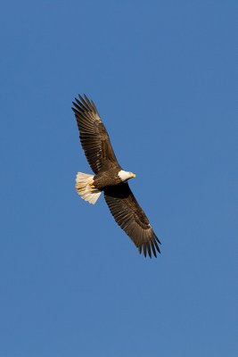 g5/76/640876/3/119524738.qwQtBA6r.jpg