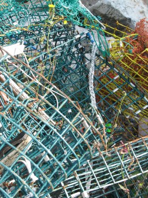 Lobster Traps 1