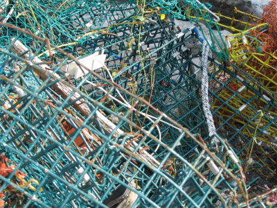 Lobster Traps 2