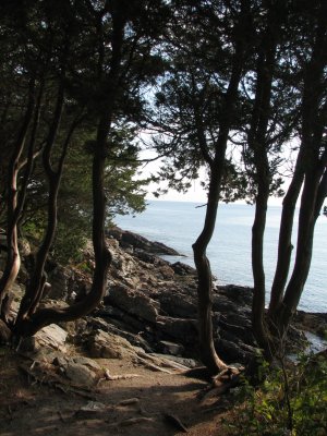 Rocky Coast 1