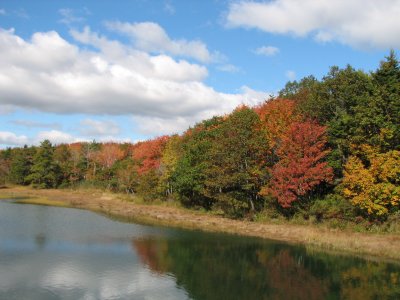 Fall Colors 4