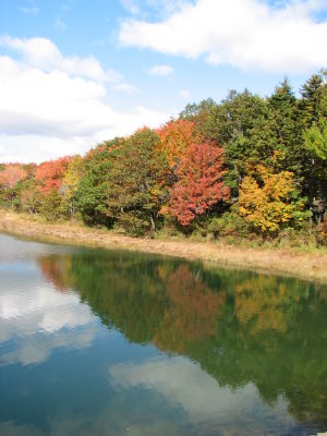 Fall Colors 5