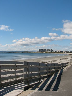 The Beach 1