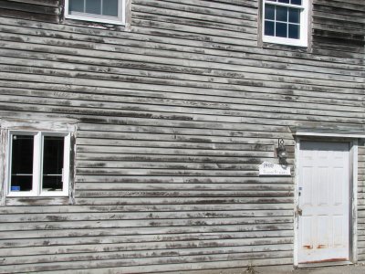The White School