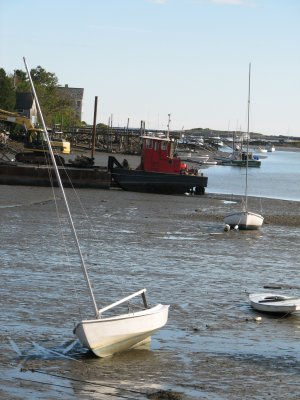 Low Tide 2