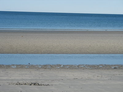 Beach Scene 3