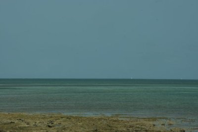 FDP11992.jpg
