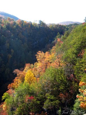 Tallulah Gorge