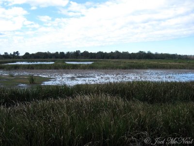 Altamaha WMA