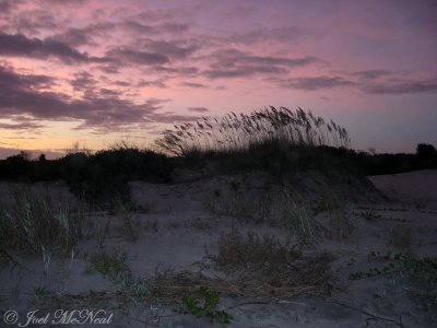 Jekyll Island dunes at dusk