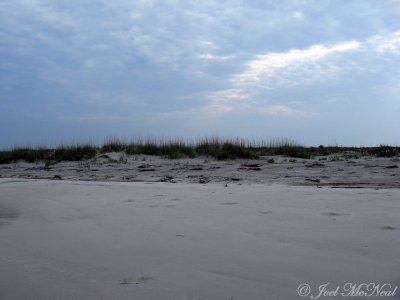 Jekyll Island dunes