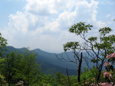 Lookout to the west of Brasstown Bald