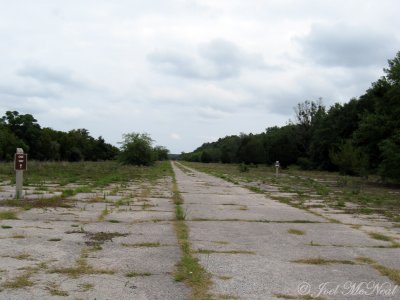 Abandoned airstrips, Harris Neck