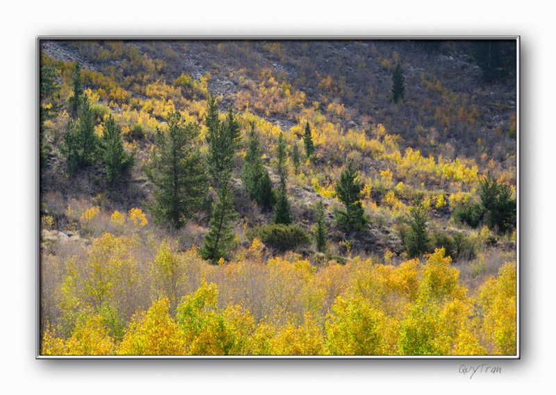 South Fork (Bishop)