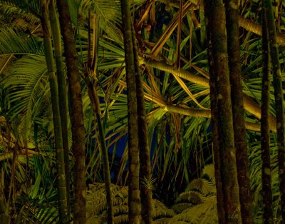 palm jungle