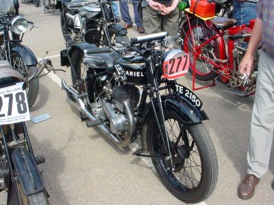 BlackAriel_13.jpg