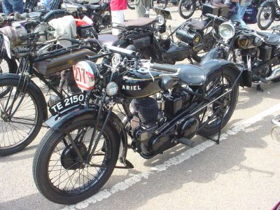 BlackAriel_14.jpg