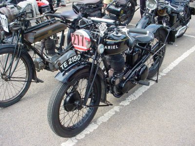 BlackAriel_19.jpg