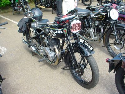 BlackAriel_22.jpg