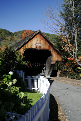 Vermont Fall Foliage 2007