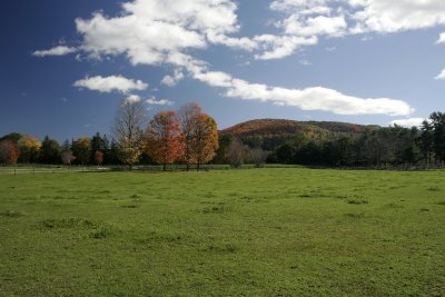 Vermont Fall Foliage 2007