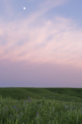 prairie after sunset.jpg