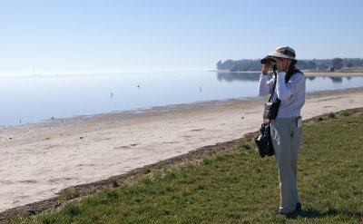 Birder at Fort Desoto