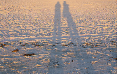 Shadows on the beach