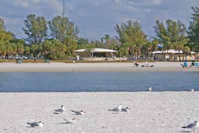 Fort Desoto Beach