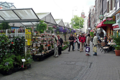 Flower/bulb market