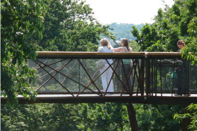 New Skywalk in Kew Gardens