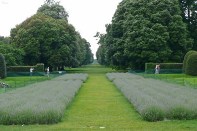 View at Kew