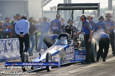 tfbrown10.jpg