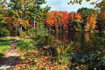 New England Riverside Foliage