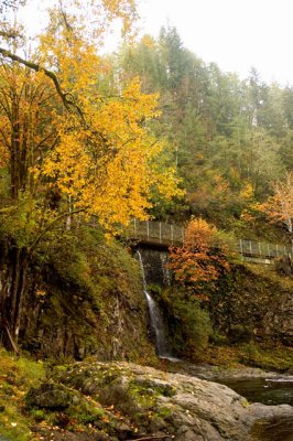 Autumn 3