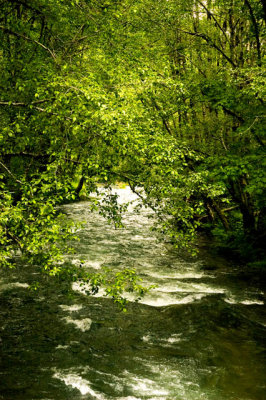 East Fork Of The Trask River