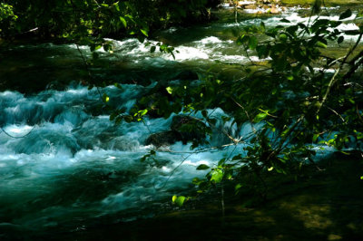 Trask River