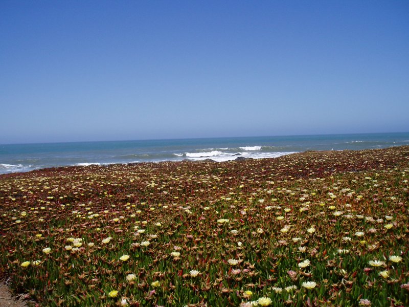 Wide open Pacific Ocean views