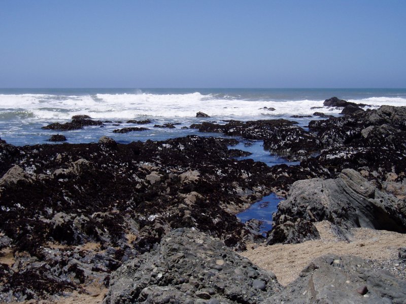Beautiful Pacific
